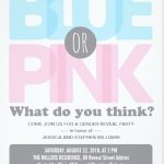 Blue or Pink What do you think