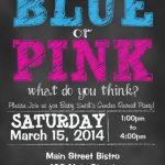 Gender Reveal Party Invitation Sample