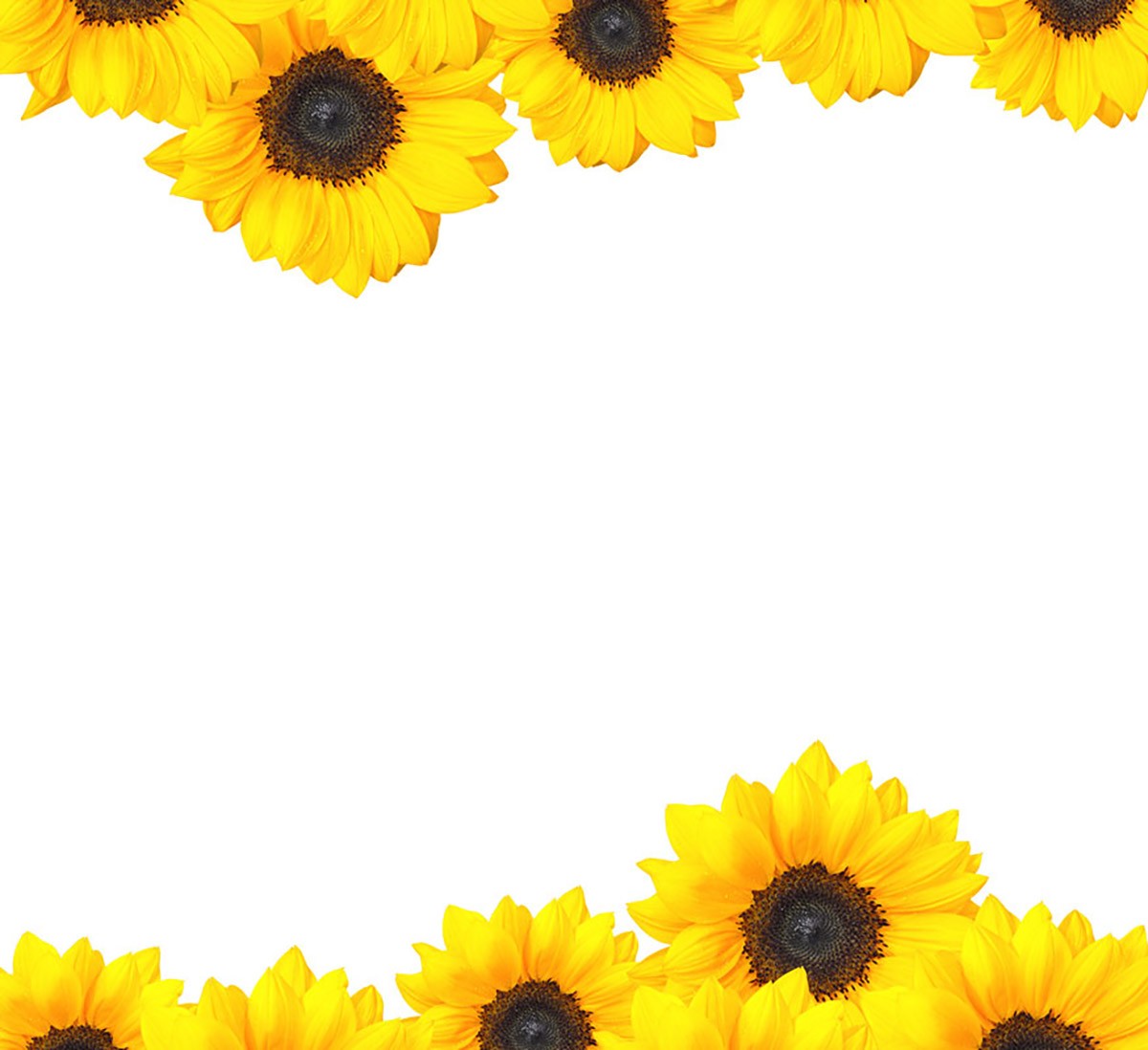 Sunflower Invitation template Invitations Online