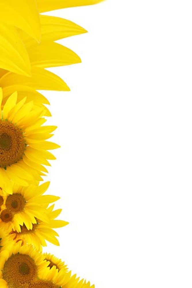 Bring in the Sunshine with Sunflower Wedding Invitations - Invitations